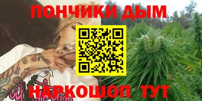 шишки Вышний Волочёк
