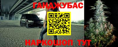 шишки Вышний Волочёк
