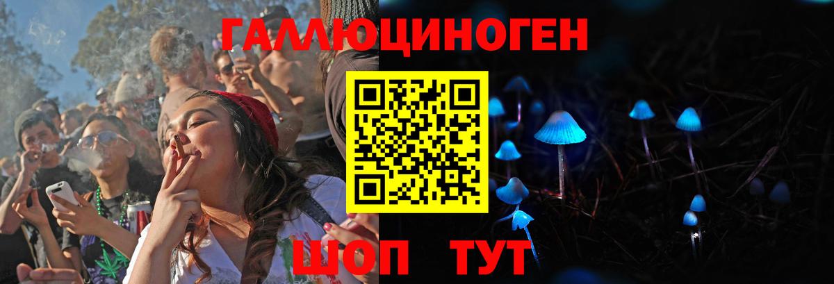 Псилоцибиновые грибы прущие грибы  Вход с VPN  Псилоцибиновые грибы прущие грибы  Мурино 